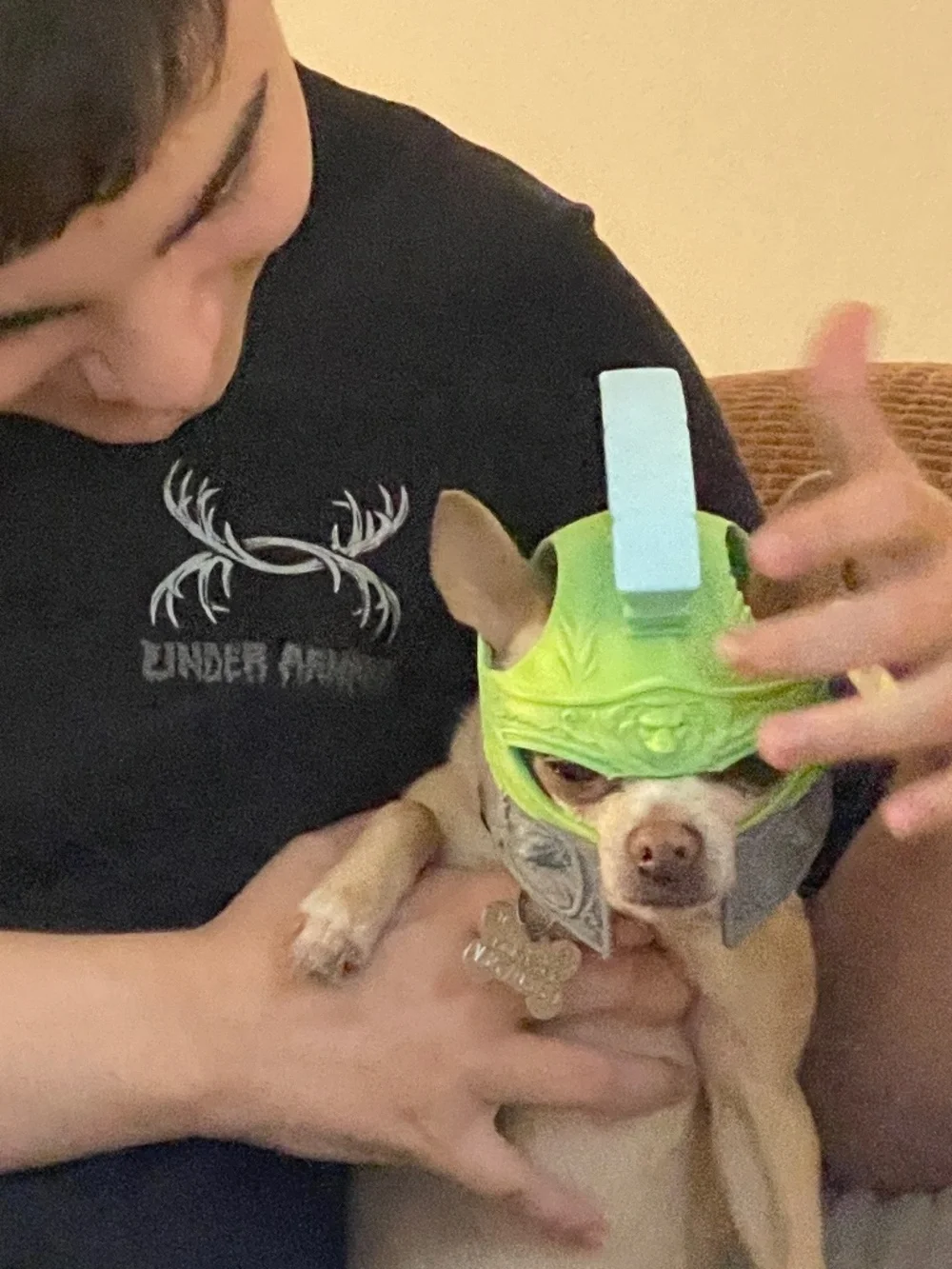Handcrafted 3D Printed Roman/Spartan Accessory for Cats & Small Dogs